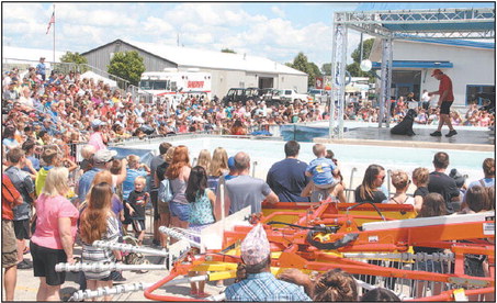 Sea Lion Splash Show