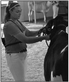 2019 Fond du Lac County Fair Blue Ribbon Winners