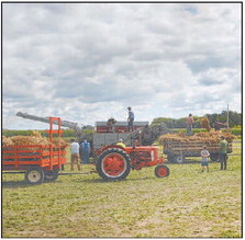 Empire Threshing Association’s  Annual Thresheree August 29