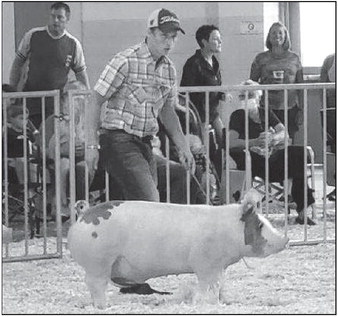 2020 Fond du Lac County Fair Blue Ribbon Winners