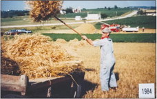 ‘This is Empire Threshing Association Performing’