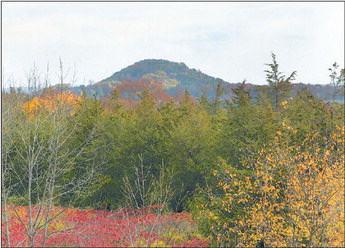 Friends Of  The Kettle Moraine