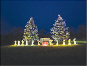 “Love Light” Trees are Lit